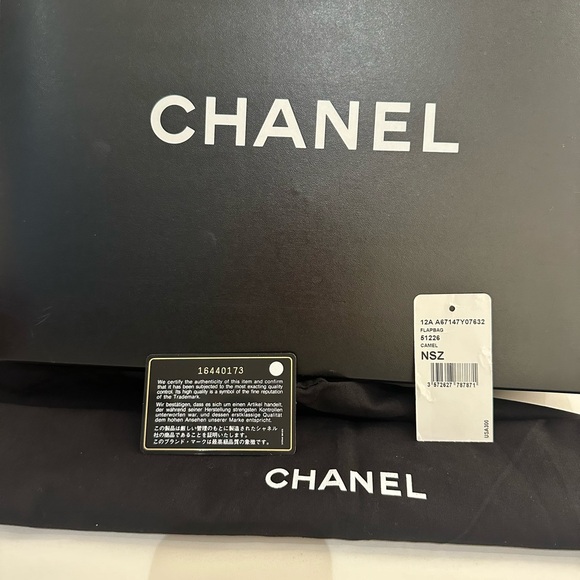 CHANEL Shiva Burnt Orange Shoulder Bag with Quilted Design and Gold-Toned Logo - Picture 15 of 16